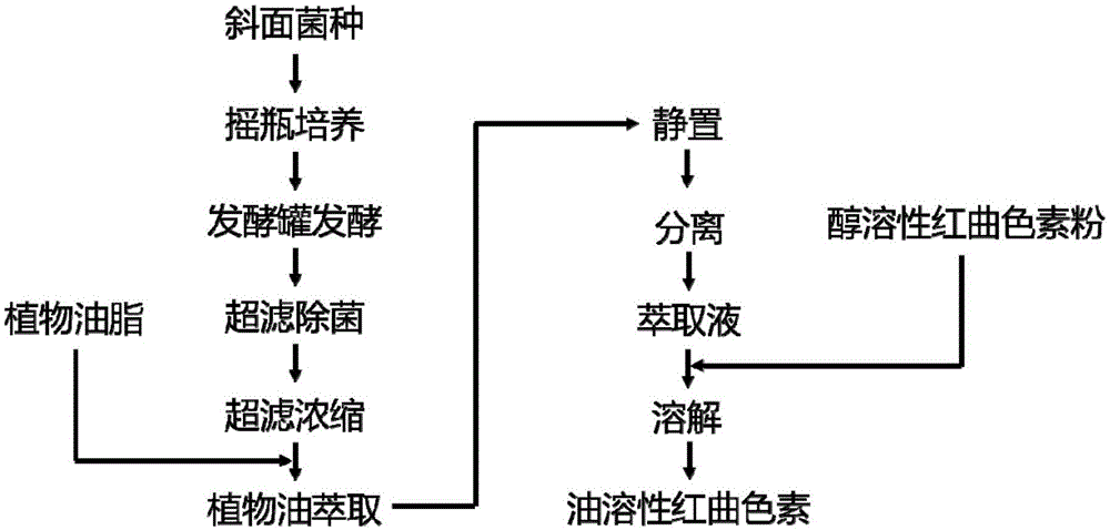 一种由醇溶性红曲色素制成的油溶性红曲色素及制备方法与应用与流程