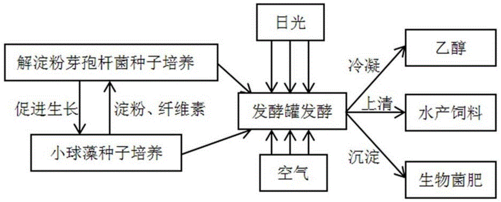 一种高产乙醇的双细胞连续发酵方法与流程