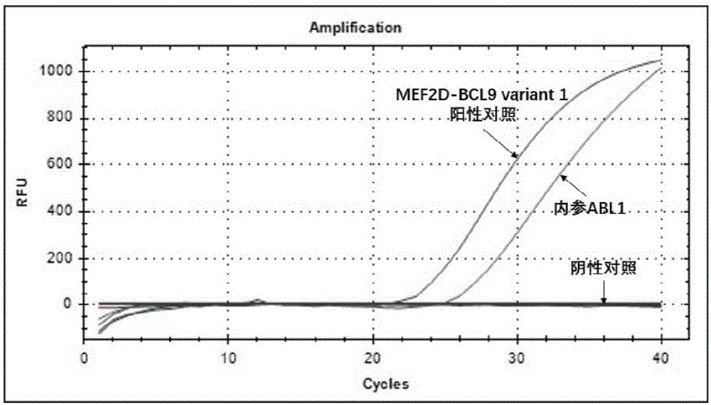 不同位点白血病MEF2D-BCL9融合基因寡核苷酸的检测方法及检测试剂盒与流程