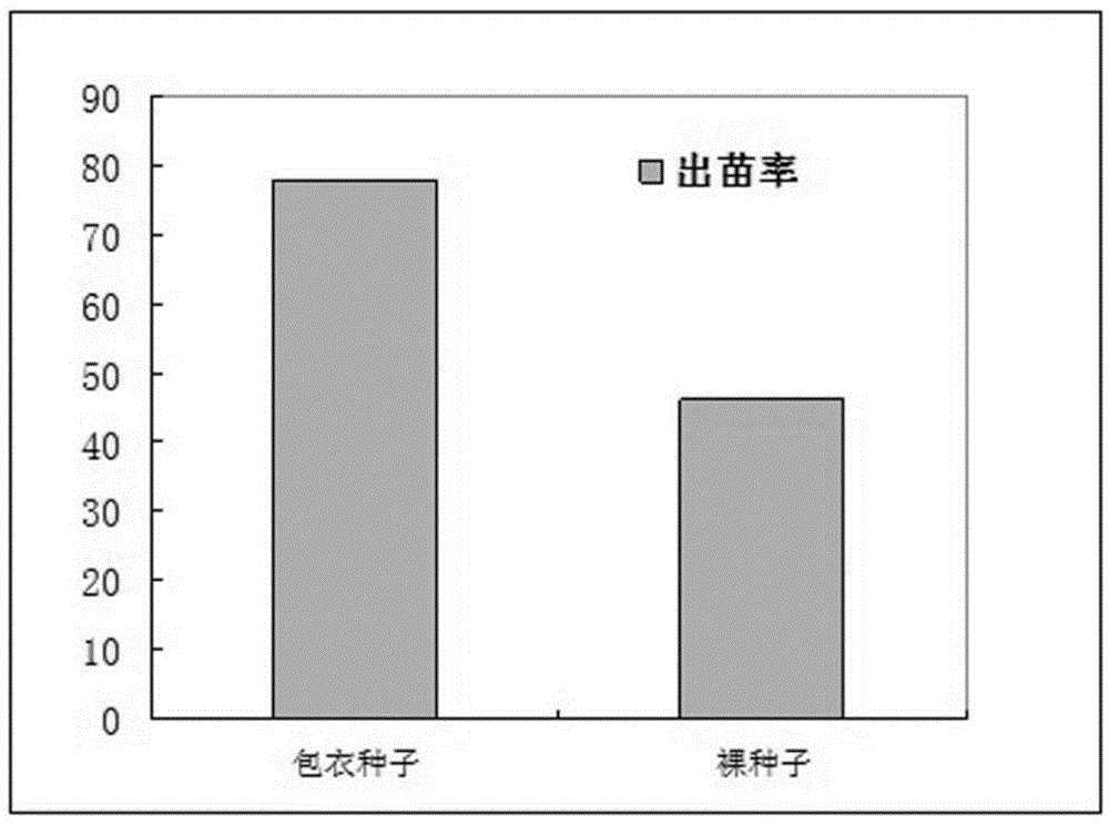 一种微生物种子包衣方法与流程