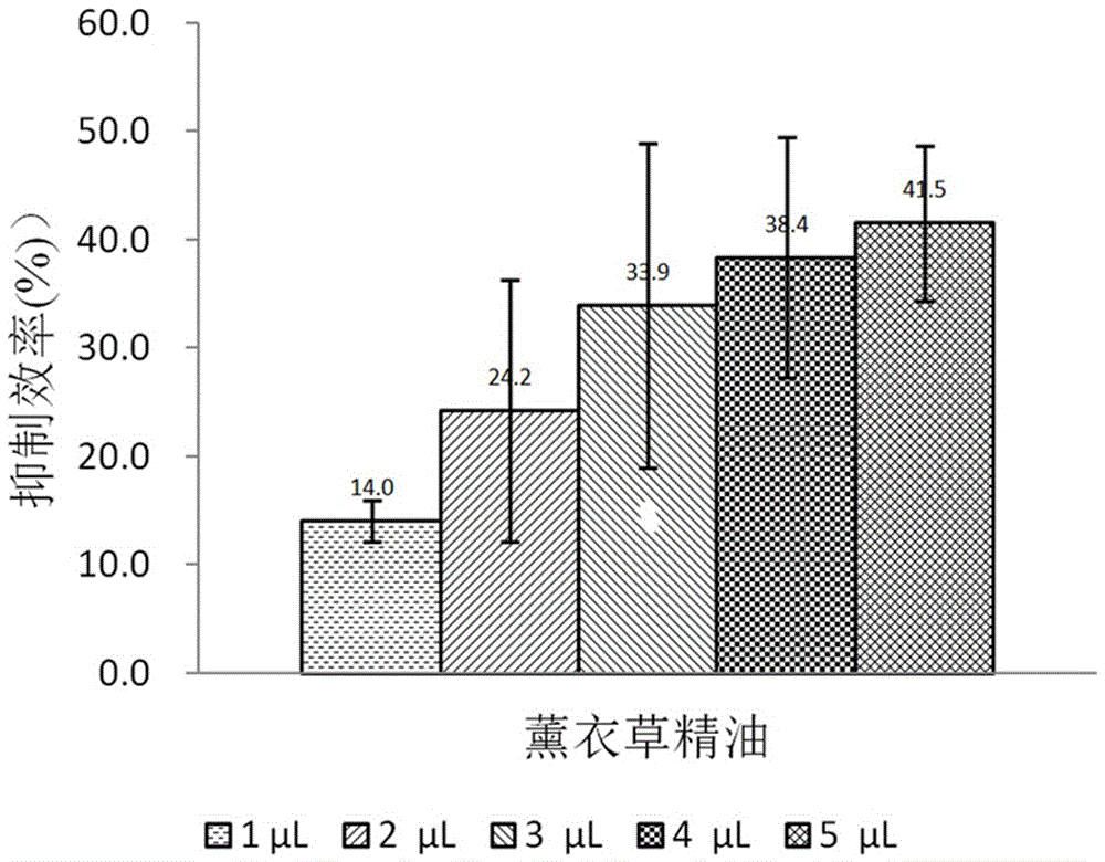 一种薰衣草精油的应用的制作方法