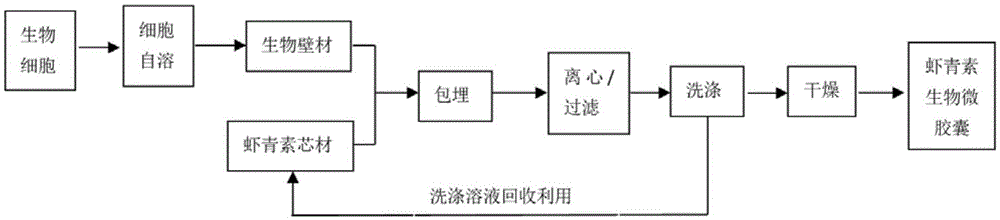 一种虾青素生物微胶囊的制备方法与流程