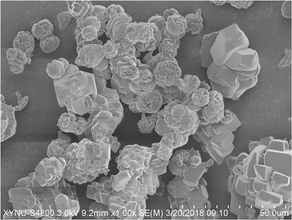 一种以双相磷灰石为核芯的藻酸银水凝胶微球的制备方法与流程