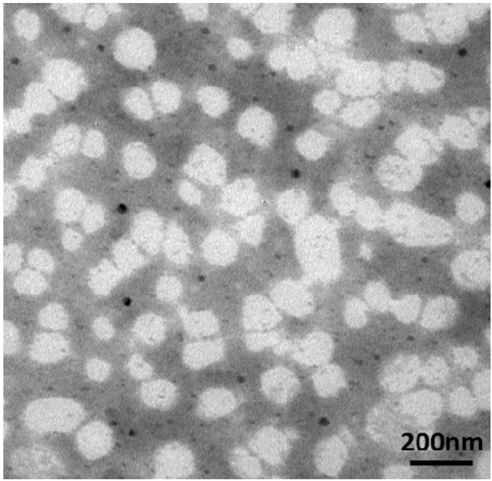 一种二氢杨梅素固体脂质纳米粒及制备方法与流程