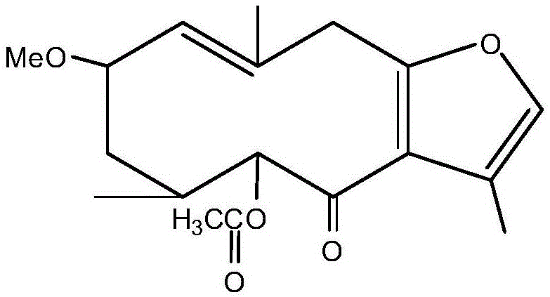 2甲基-5-乙酰-4-呋喃吉玛-1（10）-烯-6-酮在制备镇痛药物中的应用的制作方法
