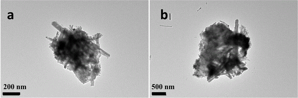 一种藻酸银水凝胶抗菌微球及其制备方法与流程