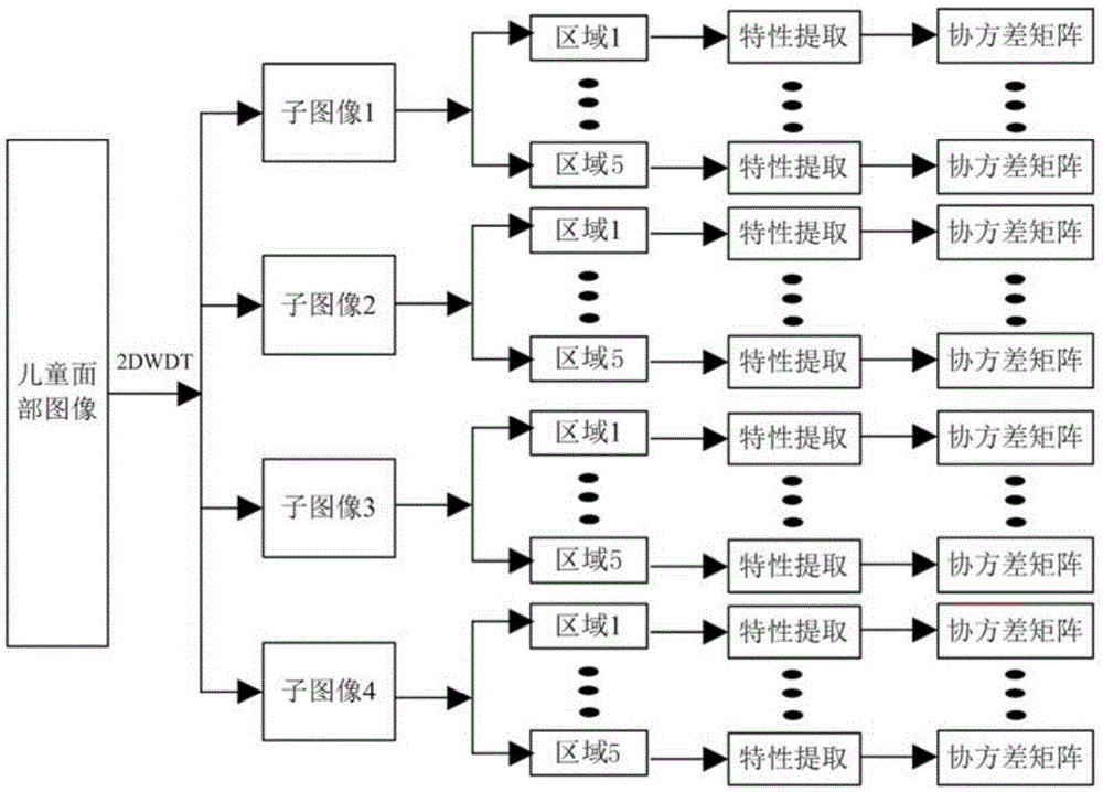 一种儿童人脸表情识别方法与流程