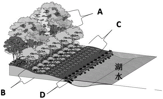 一种湖泊消落带近自然反渗透生物墙的构建方法与流程