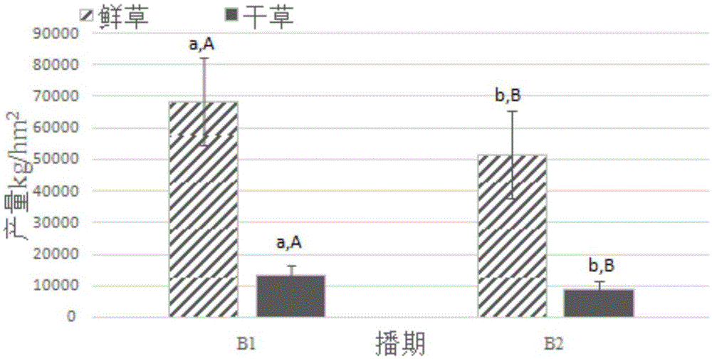 适宜冬季播种的高产燕麦饲草的栽培方法与流程