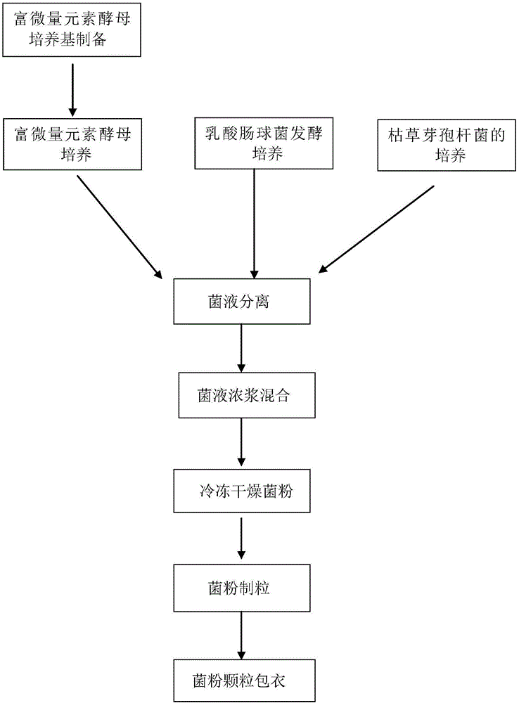 一种猪用复合益生菌制剂的制备方法与流程