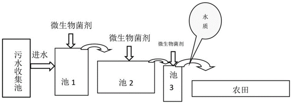 一种降解水体中氨氮的微生物菌及其应用的制作方法