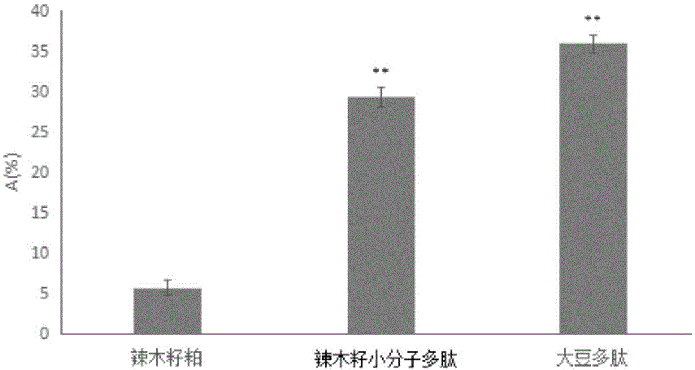 一种辣木籽小分子多肽及其制备工艺的制作方法