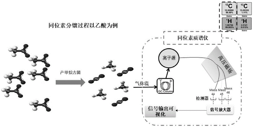 利用碳稳定同位素分馏比率判断厌氧消化过程的方法与