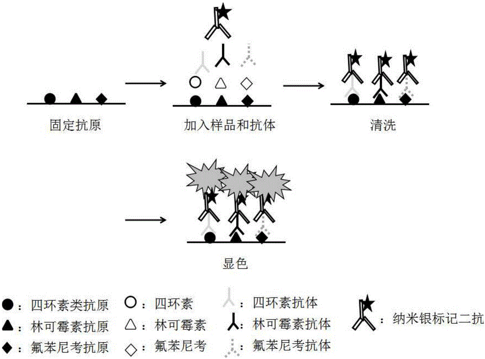 一种同时检测四环素类、林可霉素、氟苯尼考抗生素残留量的方法与流程