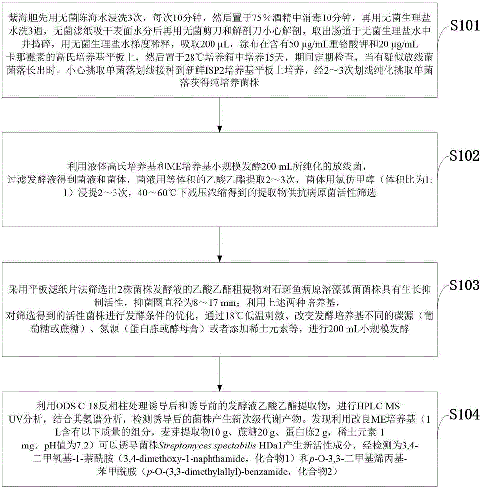 一种诱导海洋放线菌沉默基因表达产生新物质的方法与流程