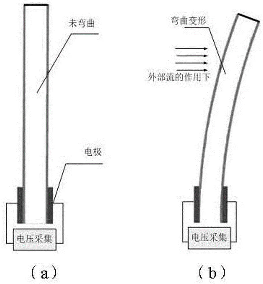 一种流速、流向检测装置的制作方法