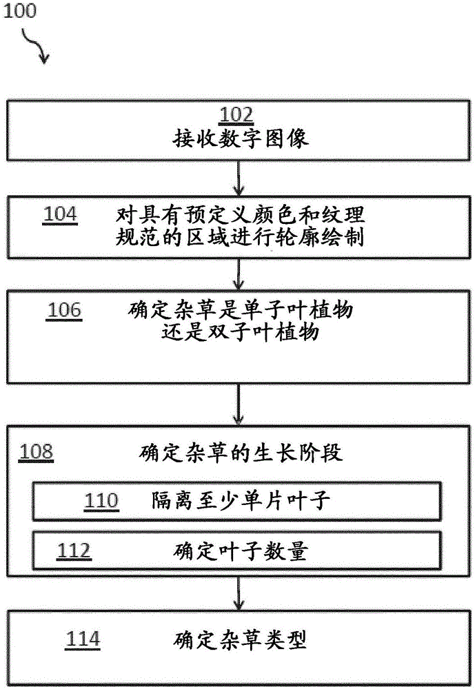 自然环境中的杂草的识别的制作方法