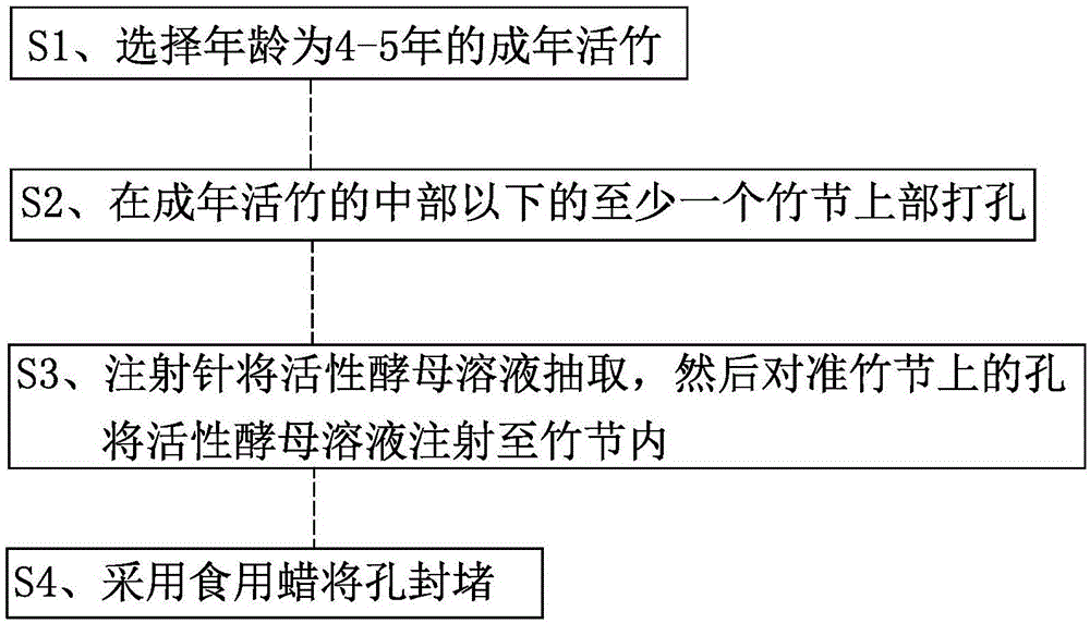 竹酵素的活性酵母溶液注射方法与流程