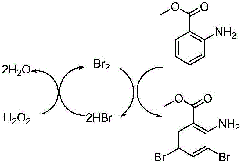 一种盐酸溴己新的制备方法与流程