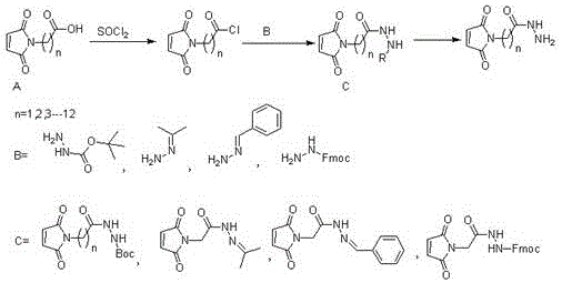 一种含有酰肼结构异双功能蛋白质交联剂的制备方法与流程
