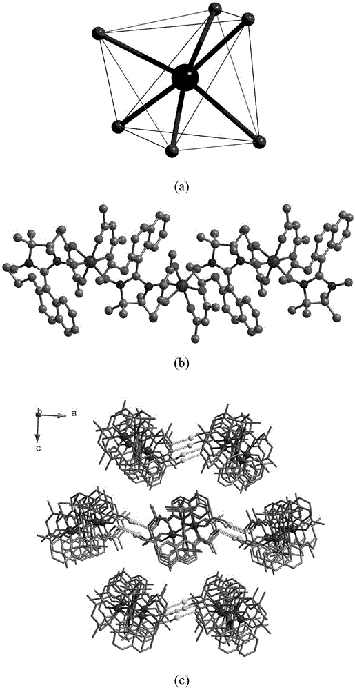 具有6.3T矫顽力的钴-萘环氮氧自由基分子磁体材料及其制备方法与流程