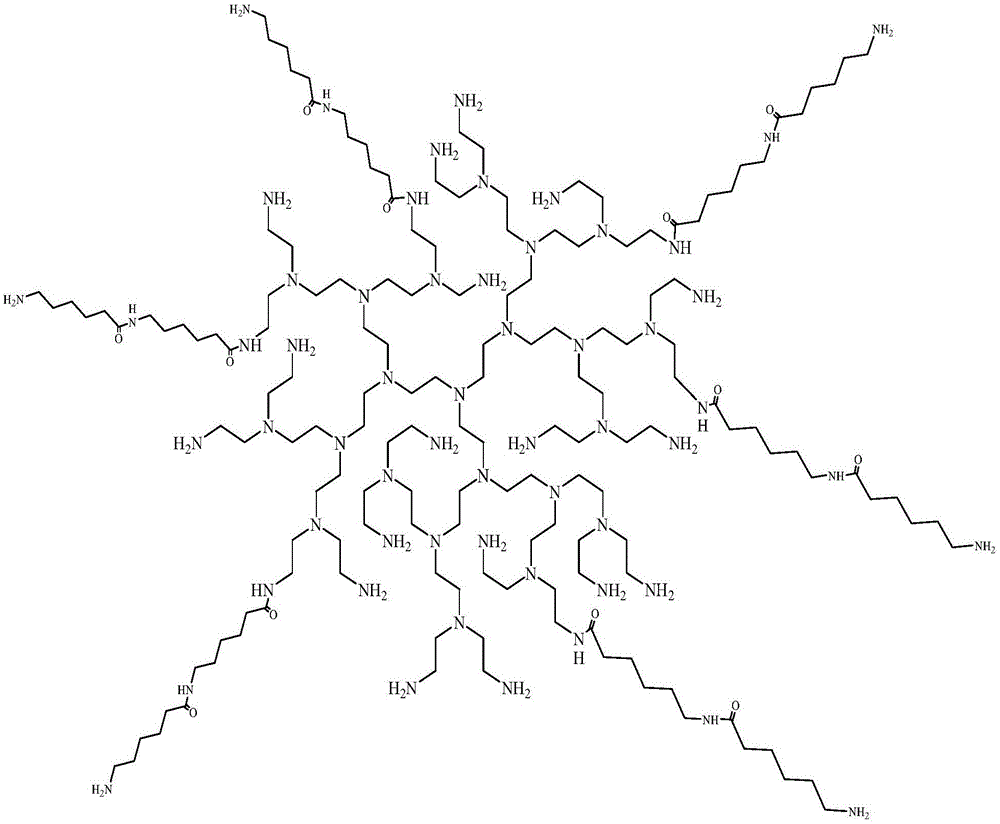 一种双亲性超支化聚合物及其制备和应用的制作方法