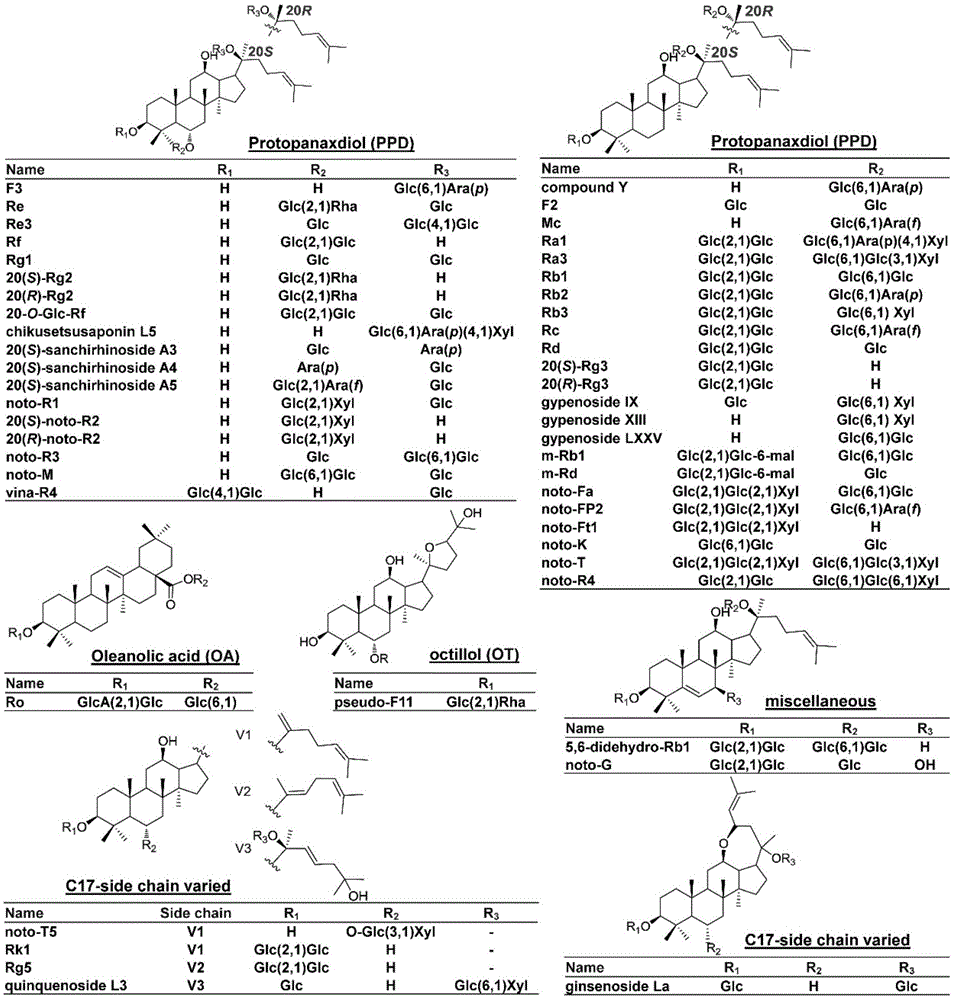 基于离线2D LC-MS结合代谢物预测三七叶皂苷成分的方法与流程