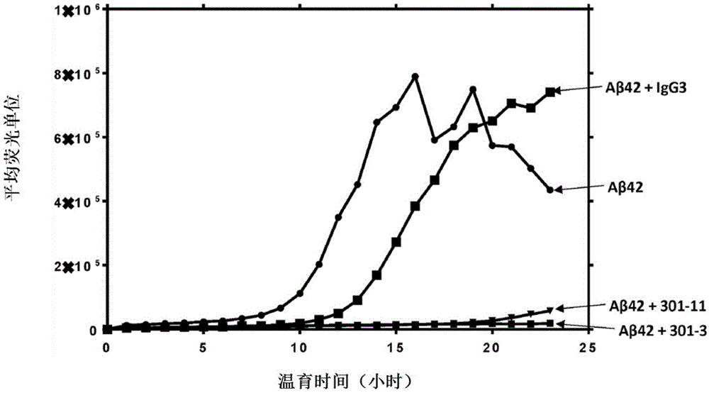 淀粉样蛋白β的抗体的制作方法