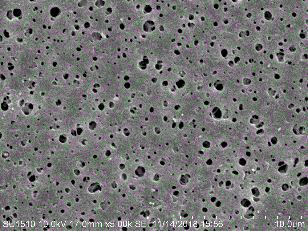 一种聚醚砜微孔滤膜的亲水改性方法与流程