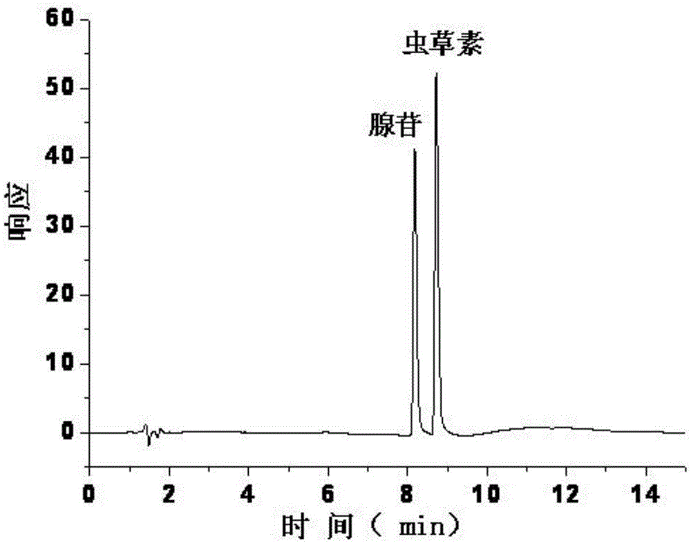 一种富硒蛹虫草奶粉中虫草素和腺苷的检测方法与流程