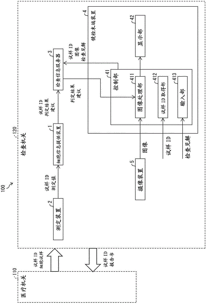 细胞分析方法、细胞信息提供装置和系统、控制程序、记录介质与流程