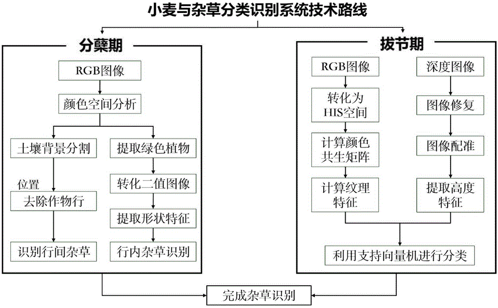 一种基于多源图像融合的自然环境下麦田杂草识别方法与流程