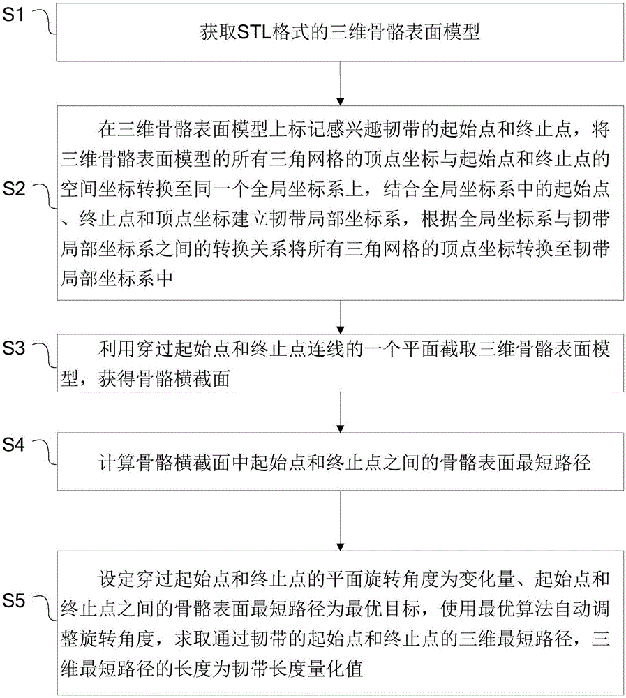 一种韧带长度量化方法与流程