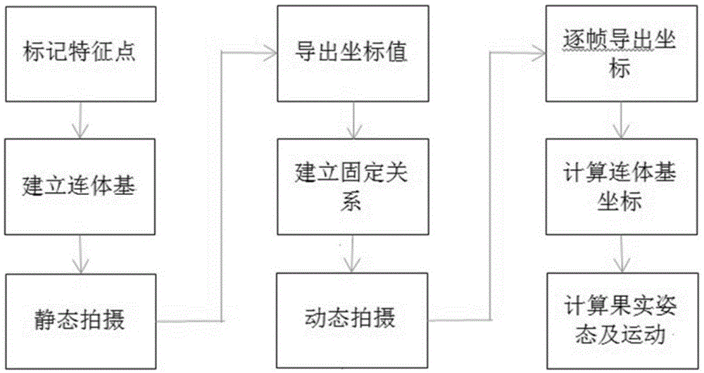 基于双目视觉追踪果实空间姿态及果实空间运动的方法与流程