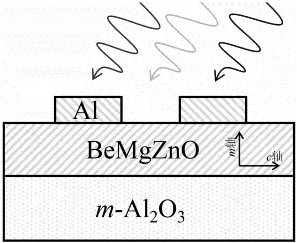 一种基于非极性m面BeMgZnO透明薄膜太阳能电池及其制备方法与流程