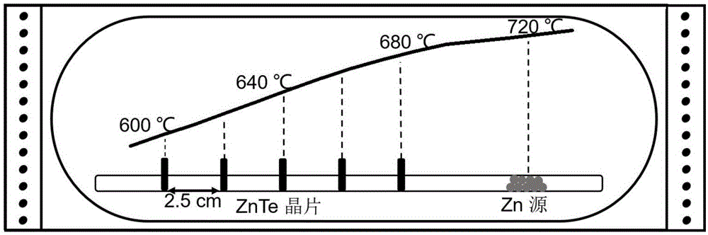 调控碲化锌晶体电阻率的退火方法与流程