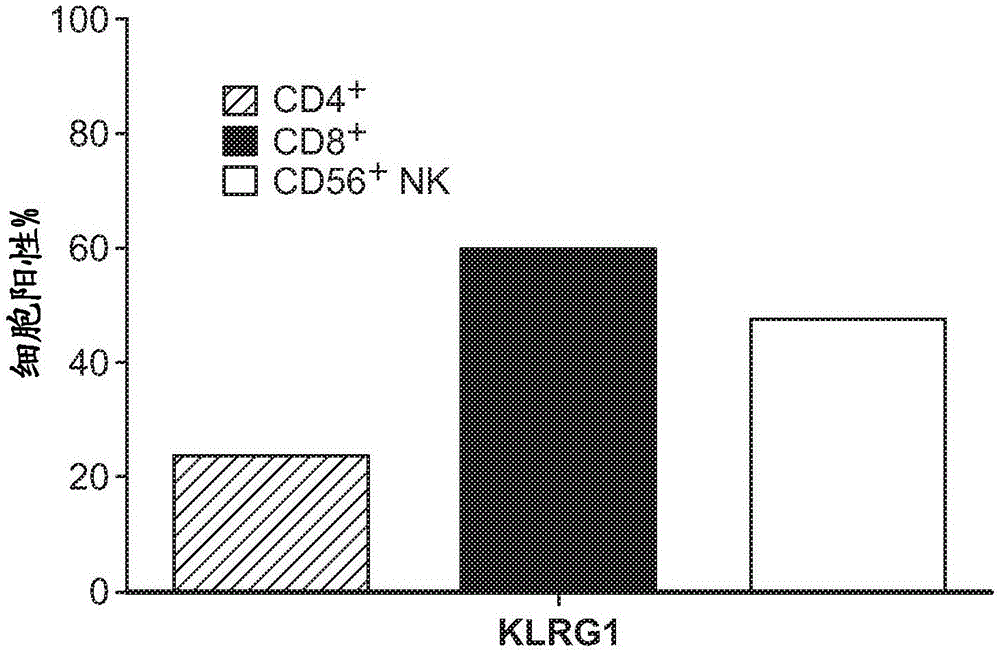 KLRG1信号传导治疗的制作方法