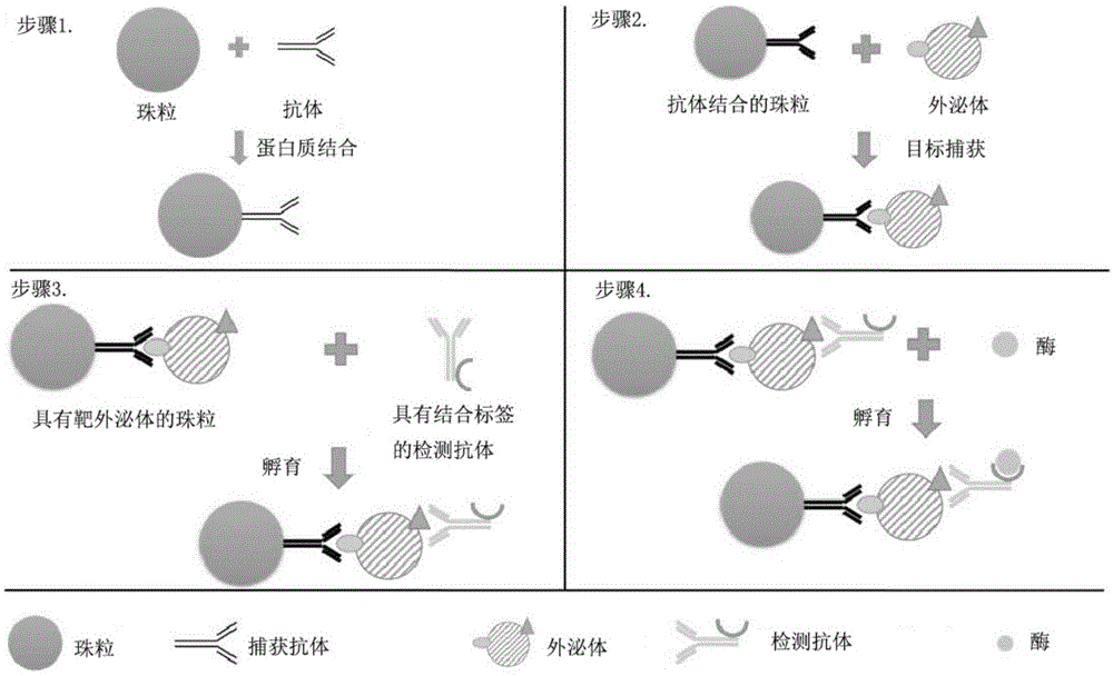 外泌体分析及癌症诊断方法与流程