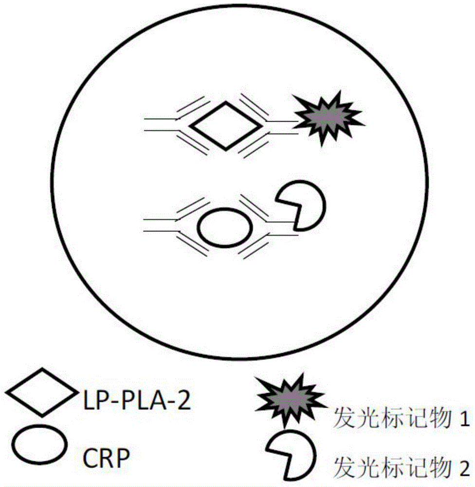 一种基于化学发光法检测Lp-PLA2和CRP含量的试剂盒、方法及应用与流程