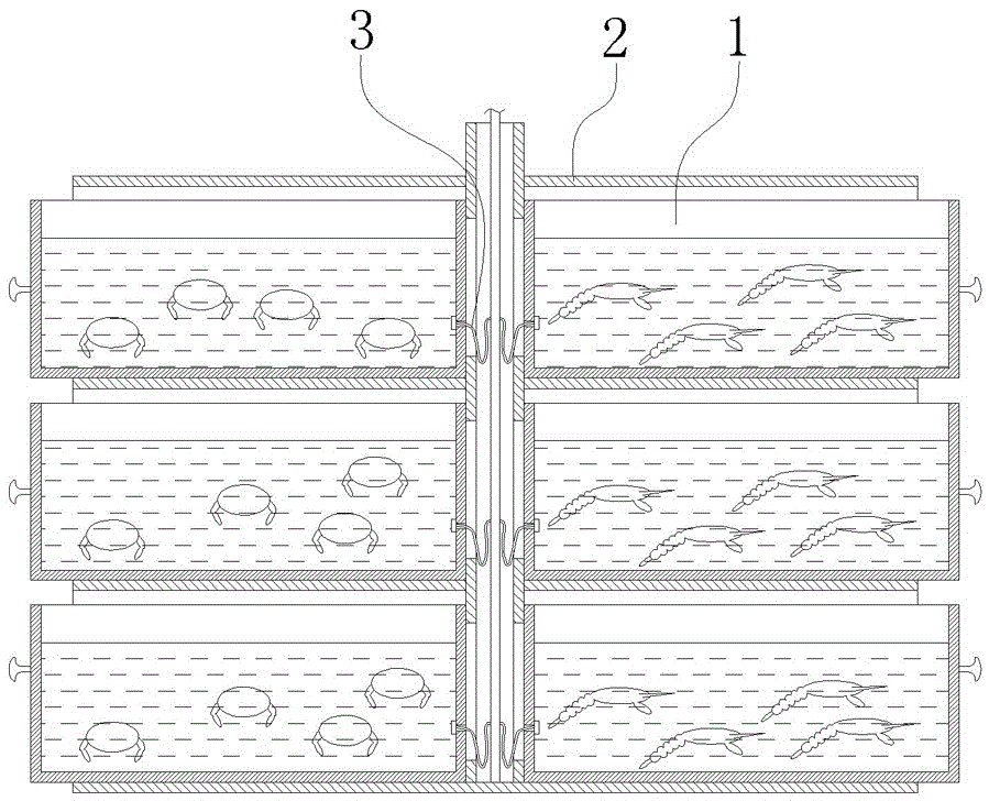 一种虾蟹分层分格养殖方法与流程