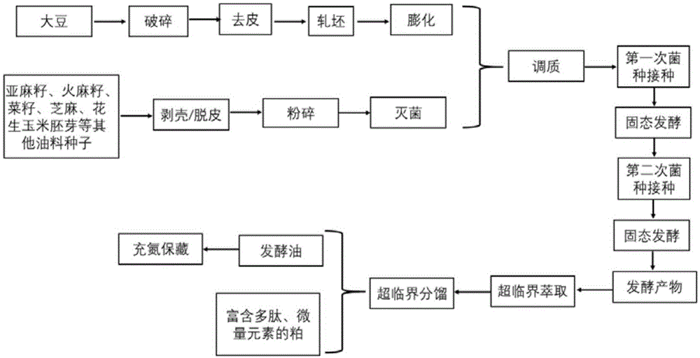 一种混合真菌分段式固态发酵制备功能性油脂的方法与流程