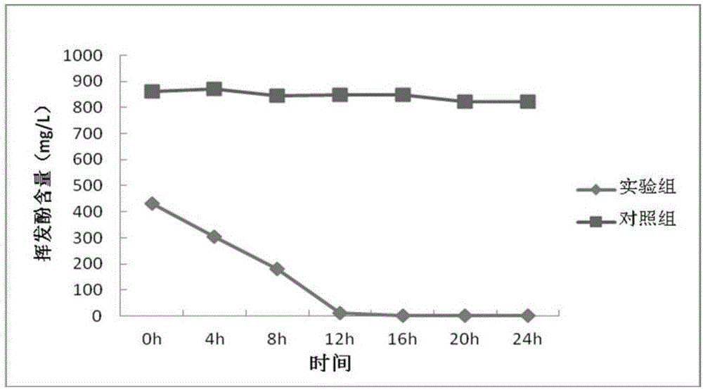 一种生物降酚菌剂及其应用方法与流程