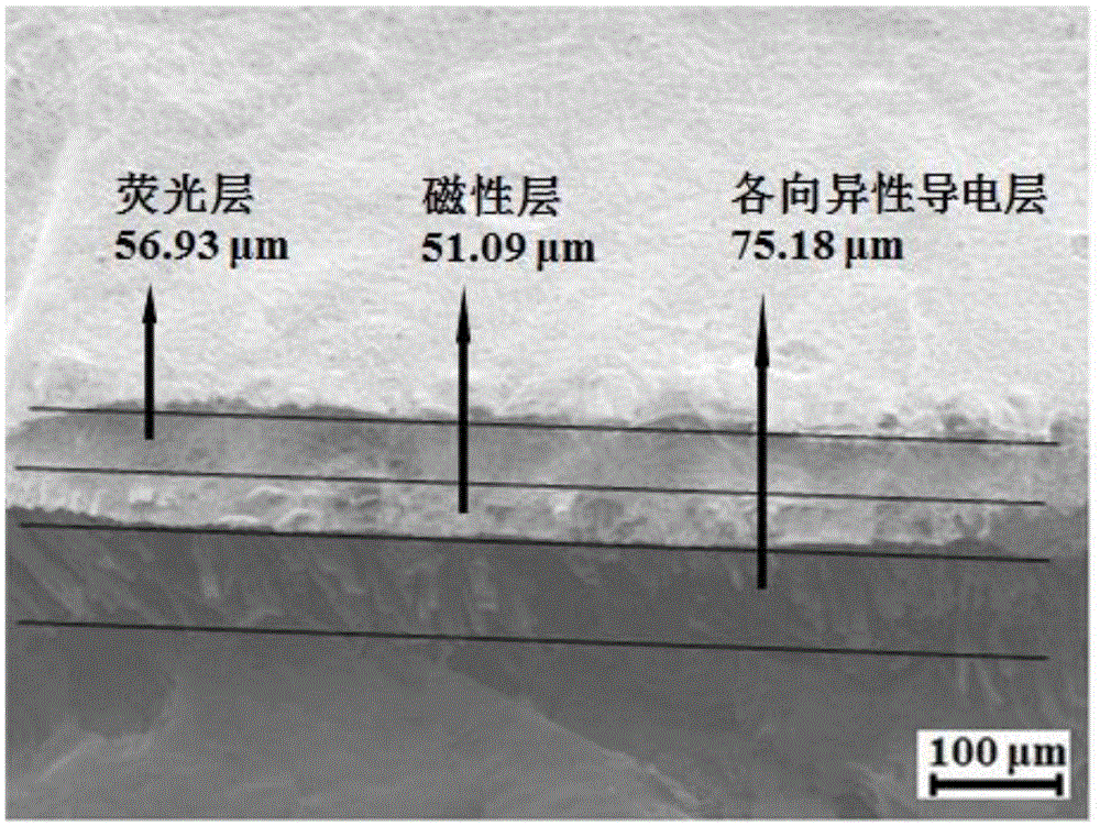 各向异性导电磁光三功能三明治结构复合膜及其制备方法与流程