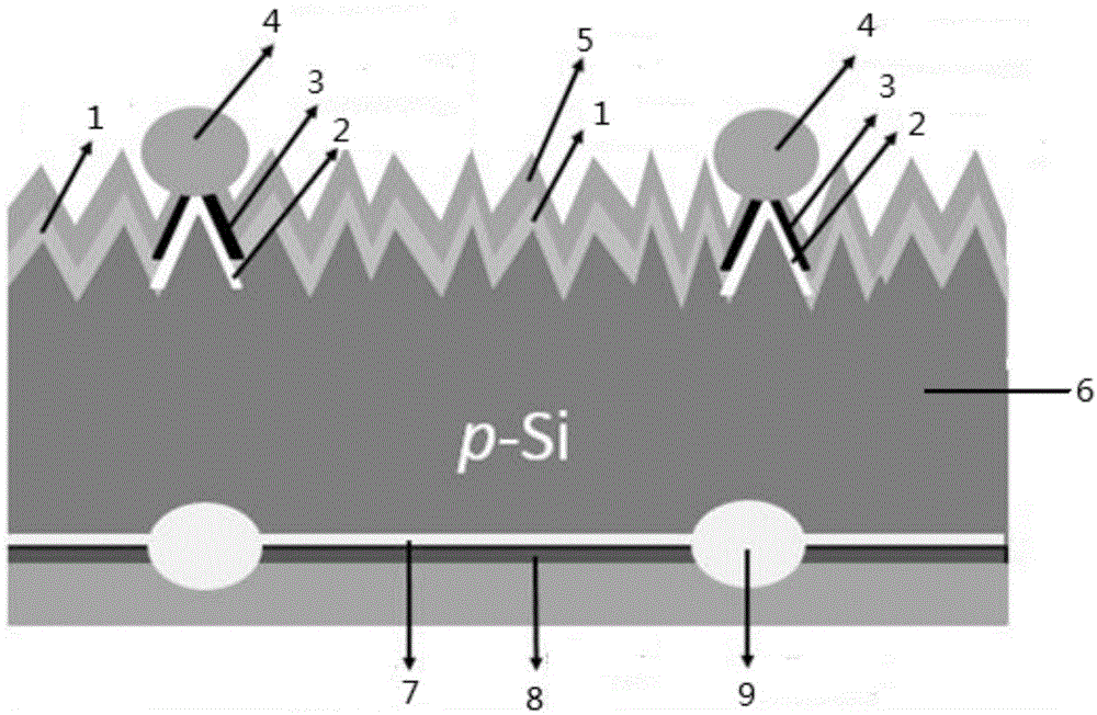 一种局域接触钝化的P型晶硅太阳电池及其制备方法与流程