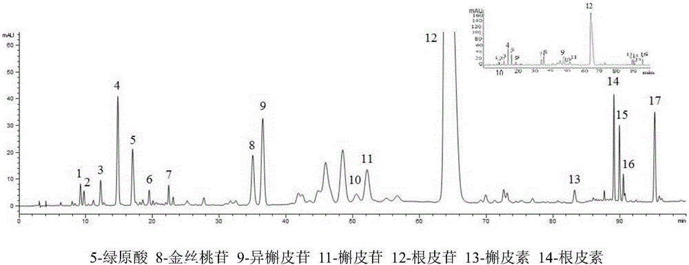 一种俄色叶提取物及其质量检测方法与流程