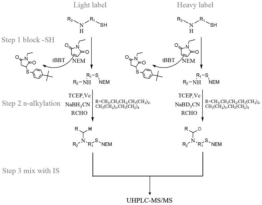 基于N-烷基化法的多种氨基代谢物同步定量分析方法与流程