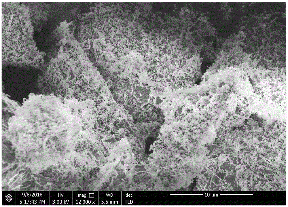 一种碳量子点修饰锂硫电池正极材料的制备方法与流程