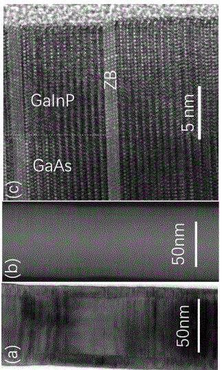 一种新型纤锌矿GaAs核壳纳米线光电探测器的制备方法与流程