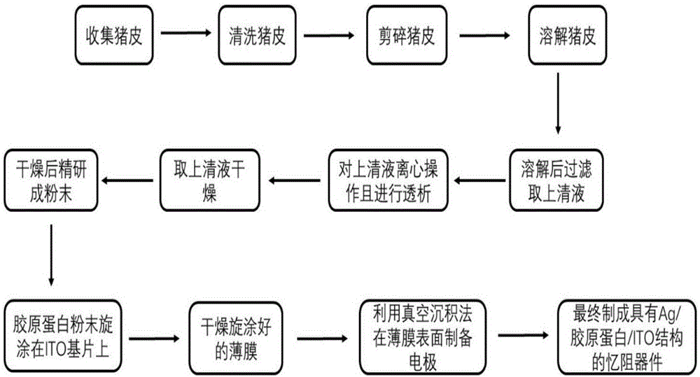 一种胶原蛋白忆阻器的制备方法与流程