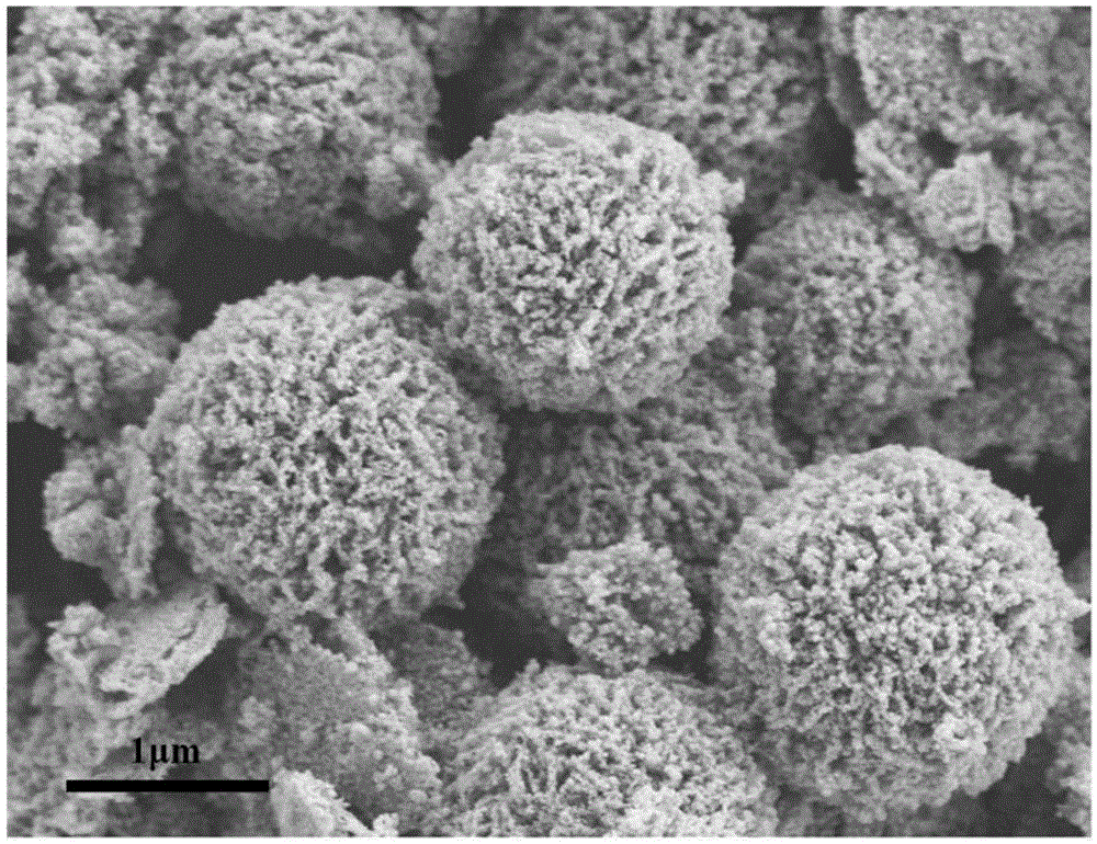 丝胶碳膜包覆Co3O4多孔微球复合材料及制备方法与流程